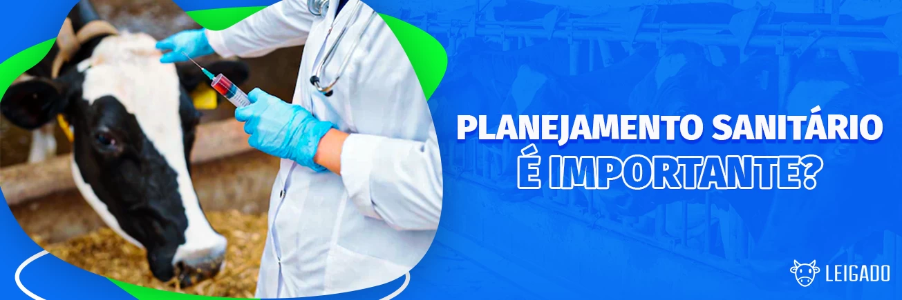 Image de Capa: Planejamento sanitário é importante?