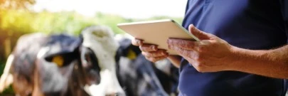 Capa do Artigo: Software para pecuária: Como a tecnologia está transformando a gestão do rebanho