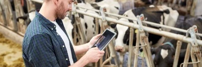 Capa do Artigo: Software de Gestão para Pecuária Leiteira: Os 5 Melhores do Brasil