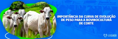 Importância da curva de evolução de peso para a bovinocultura de corte